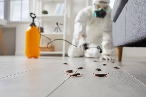Commercial Kitchen Cockroach Control in Payette